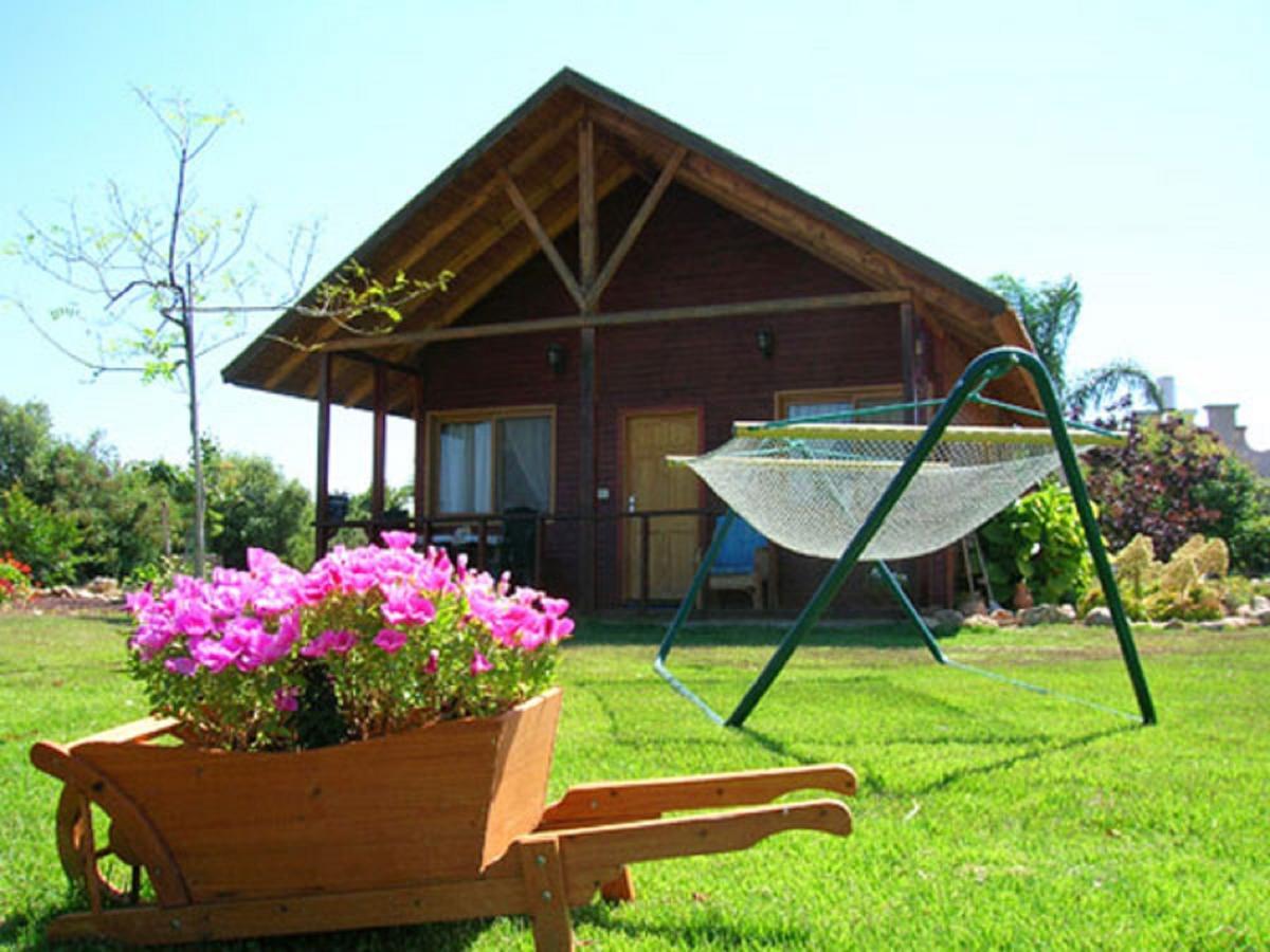 Tal Nof Cabins Villa Manot Rom bilde