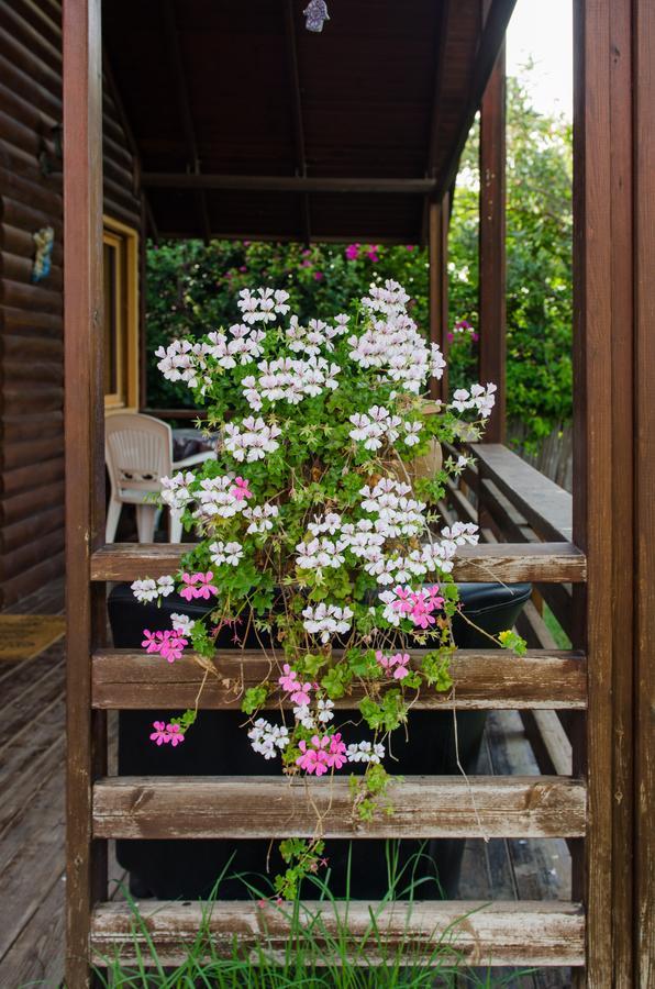 Tal Nof Cabins Villa Manot Eksteriør bilde